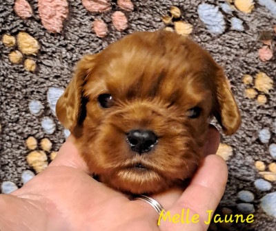 Autant en emporte le Vent